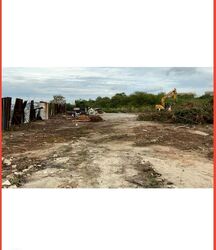 Jurong Pier Road (D22), Factory #577733231